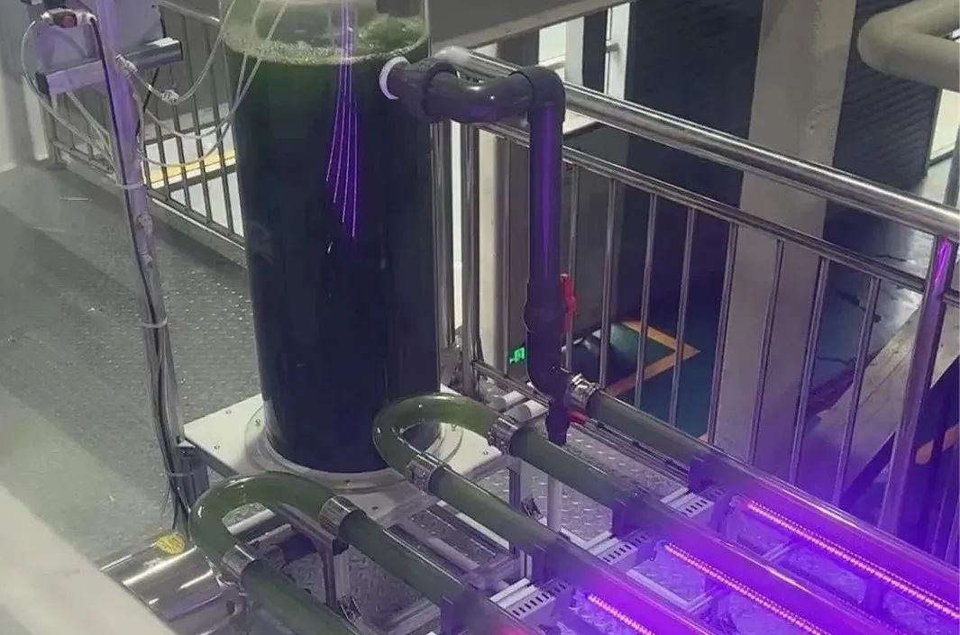 &#40857;&#56;&#45;&#108;&#111;&#110;&#103;&#56;&#40;&#20013;&#22269;&#41;&#21807;&#19968;&#23448;&#26041;&#32593;&#31449;&#45;&#31185;&#25216;&#39046;&#33322;&#31449;